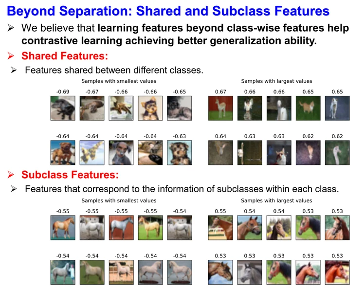 Shared and subclass features learned by contrastive learning, from the paper poster