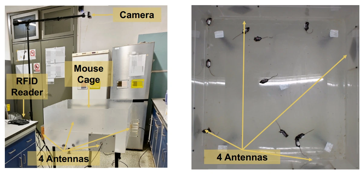 mTrack experimental setup with a camera, RFID reader, four antennas, and a top-down view of the mouse cage